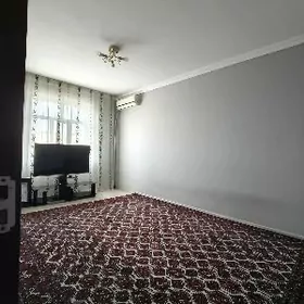 Buzmeyin tomatnyy 3kom ARZAN