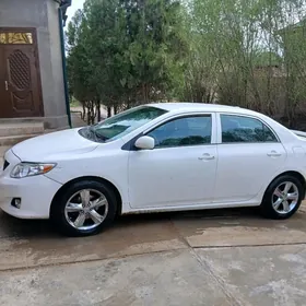 Toyota Corolla 2011