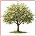 ЕКЕЖЕ  ДУЙП  УЛЫ  УНАБИ  (ЗИЗИВУС)  НАХАЛЫ  ГАЛДЫ!