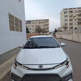Toyota Corolla 2024