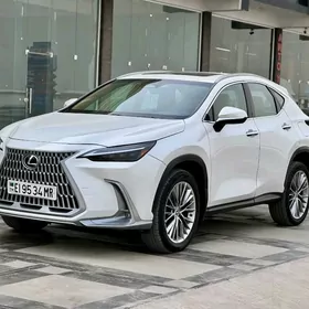 Lexus NX 350 2022