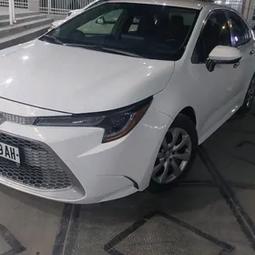 Toyota Corolla 2020