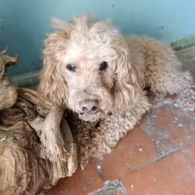 нашли в подъезде