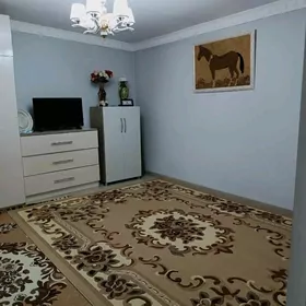 Bagyr Mirewe 10sotak 5komnat