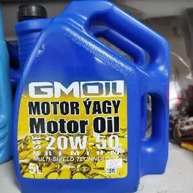 GMOIL YAG 20/50 5L