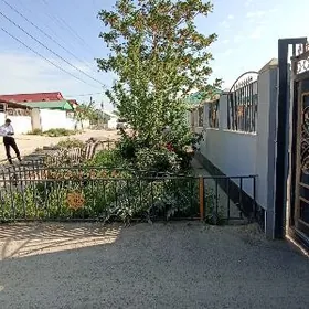 Arenda howluda aýratyn 2 kom