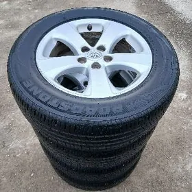 Siena Radnoý 17 Disga Teker