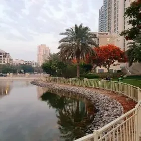 Ucastga Howly Jay Satlyk