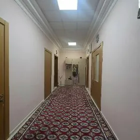 SATLYK ELITKA.. САТЛЫК ЭЛИТКА.