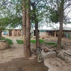 Satlyk Arzuw 16 sotok 5 kom