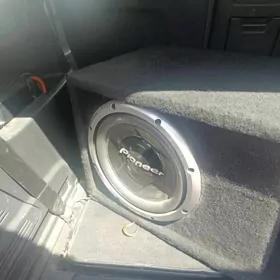 Pioneer sambufer usilitel