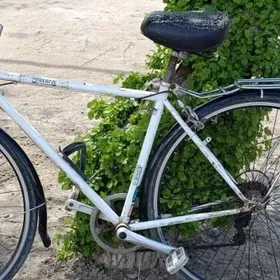 28&6скор инче тигир