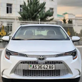 Toyota Corolla 2022