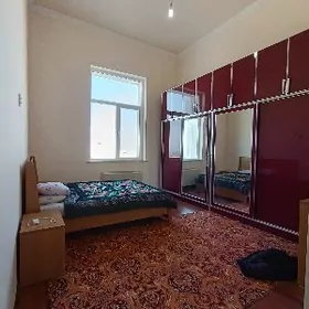 Ataturk elitka Ата турка arzan