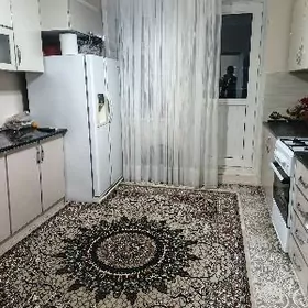 Buzmeyin gres Ahal koce