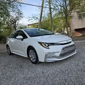 Toyota Corolla 2021