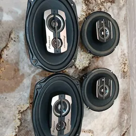 kalonka nikil pioneer