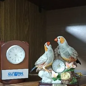 для дома и офиса