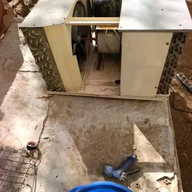 okony porsnewoy mator 80lik