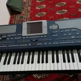 Korg pa 800