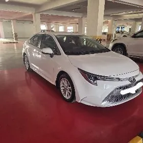 Toyota Corolla 2022