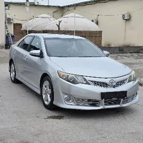 Toyota Camry 2013