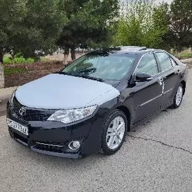Toyota Camry 2013
