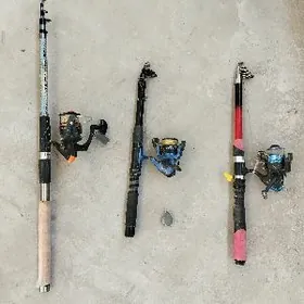 Udocka Balyk tutylýan