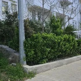 ТАСЛАМА 1-ЭТАЖ