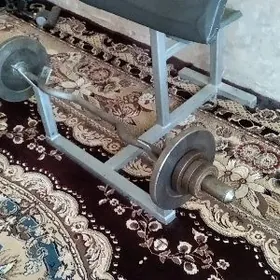 ТРЕНАЖЁР СКАМЬЯ СКОТТА