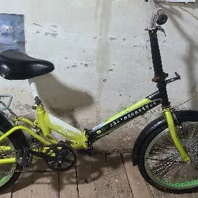 kama tigir welsopet welik