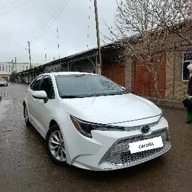 Toyota Corolla 2020