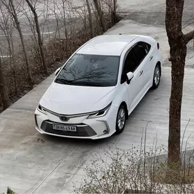 Toyota Corolla 2020