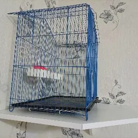 клетка для попугаев