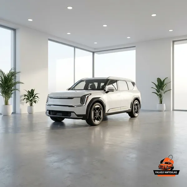 YHLASLY AWTOULAGLAR Gallery 17