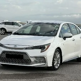 Toyota Corolla 2021