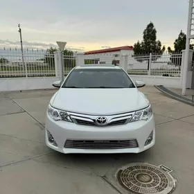 Toyota Camry 2013