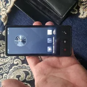 Perewodcik Переводчик