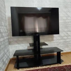 Vestal Television 55