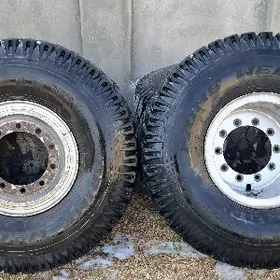 diska pakryska 16 lyk