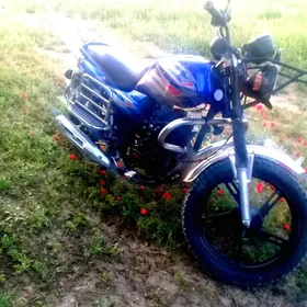 Fekon FK200-14G 2012