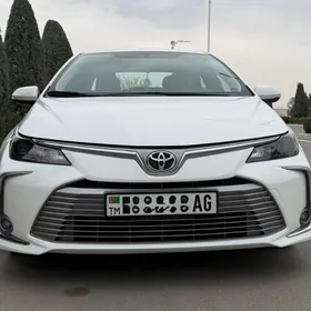 Toyota Corolla 2020