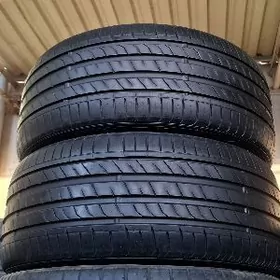 245-40-18 nexen 2023