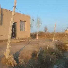 satlyk jaý köneürgenç