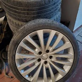 19lyk diska pakryshga