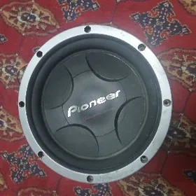 pioneer
