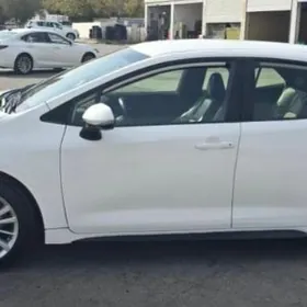 Toyota Corolla 2019