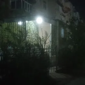 Mary ş. Bauman köç