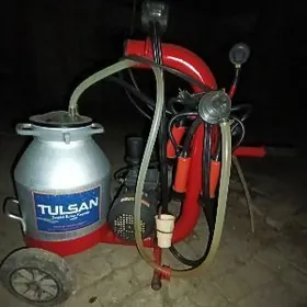 Сельское хозяйство