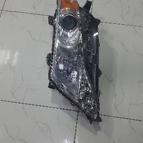 fara venza depo arginal taze cep tarap